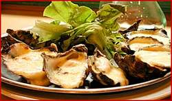 Bull & Bush Hotel - Accommodation Whitsundays 2