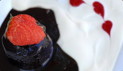 Bushman Hotel - Accommodation Whitsundays 2