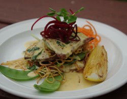 Bird In Hand Inn - Accommodation Whitsundays 2