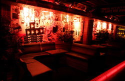 Electric Circus - Accommodation Whitsundays 3