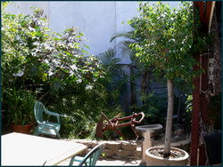Land Of Promise Hotel - Accommodation Whitsundays 3
