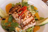 Holdfast Hotel - Accommodation Whitsundays 3