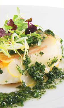 Half Moon Brighton - Accommodation Whitsundays 1