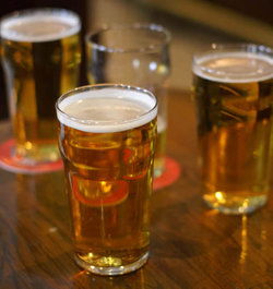 Hotel Unilodge - Sydney - Accommodation Whitsundays 2