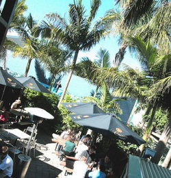 Duck & Swan Hotel - Accommodation Whitsundays 3