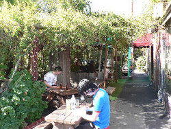 Blackcat - Accommodation Whitsundays 3