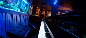 Saks Restaurant & Bar - Accommodation Whitsundays 2