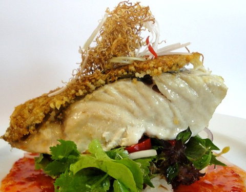 Sago Restaurants - Accommodation Whitsundays 3