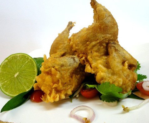 Sago Restaurants - Accommodation Whitsundays 4