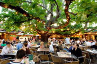 The Oaks - Accommodation Whitsundays 2