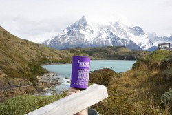 Elms Family Hotel - Accommodation Whitsundays 2