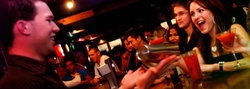 Universal Bar - Accommodation Whitsundays 3