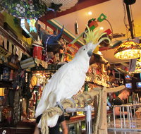 A Friend In Hand - Accommodation Whitsundays