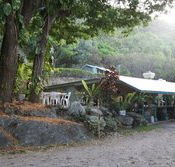 Ellis Beach Bar  Grill - Accommodation Whitsundays