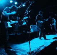 Fly By Night Musicians Club - Accommodation Whitsundays