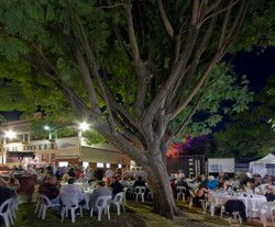 Premier Hotel - Accommodation Whitsundays 2