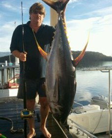 Narooma NSW Accommodation Whitsundays