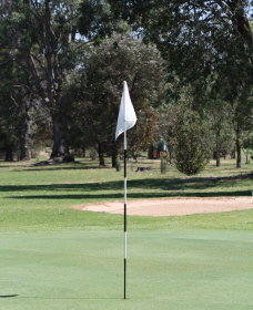 Inverell Golf Club - Accommodation Whitsundays 1