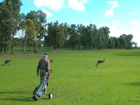 Coffin Bay Golf Club - Accommodation Whitsundays 0