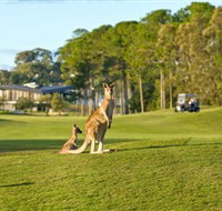Sanctuary Cove Golf and Country Club - Accommodation Whitsundays