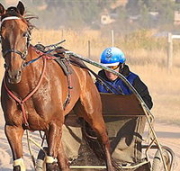 Ballarat  District Trotting Club - Accommodation Whitsundays
