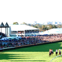South Australian Jockey Club - Accommodation Whitsundays 0