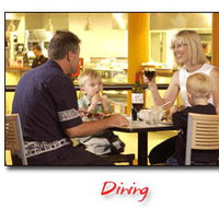 Steelers Club - Accommodation Whitsundays