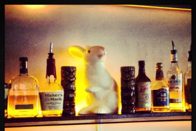 Hairy Canary - Accommodation Whitsundays 0