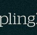 Dumpling Republic - Accommodation Whitsundays
