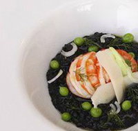 finefish - Accommodation Whitsundays