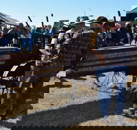 19th Annual Old Wheels In Motion Rally