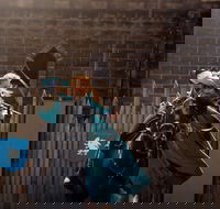 Baroque Horse Festival - Accommodation Whitsundays