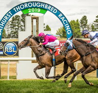 Bathurst Cup - Accommodation Whitsundays
