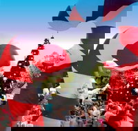 Blacktown Christmas Light Up Concert - Accommodation Whitsundays