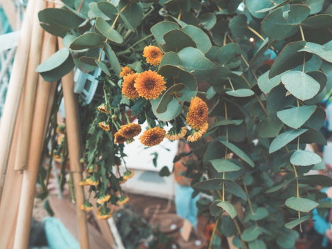 Boho Luxe Market - Accommodation Whitsundays 2