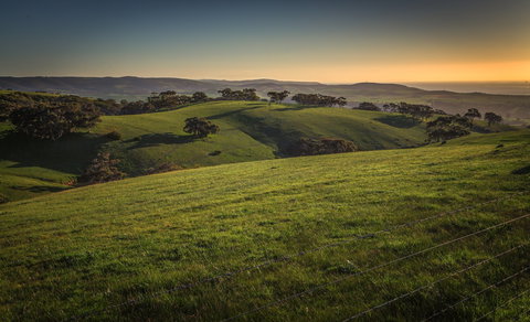 Festival Of Nature - Accommodation Whitsundays 1