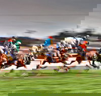 Grafton July Racing Carnival - Accommodation Whitsundays