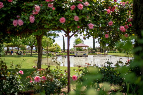 Griffith Spring Fest - Accommodation Whitsundays 0
