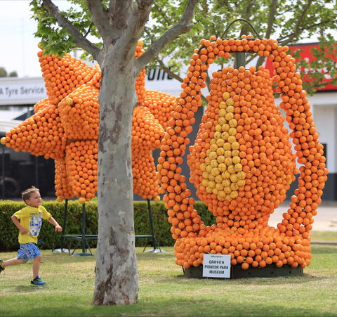 Griffith Spring Fest - Accommodation Whitsundays 1