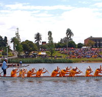 Jacaranda Dragon Boat Races - Accommodation Whitsundays