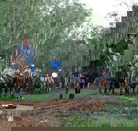 Night Horse Ride and Dinner - Accommodation Whitsundays