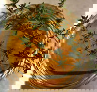 Online live streaming class DIY Skincare Products - Accommodation Whitsundays