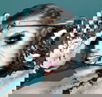 Reuben Kaye Comes Out to Play - Accommodation Whitsundays