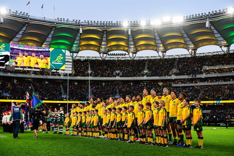 Rugby Championship: Qantas Wallabies V Springboks - Accommodation Whitsundays 0