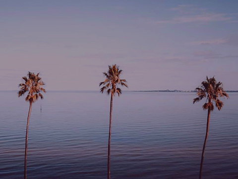 Sunset Streaming Live DJ Streams - Accommodation Whitsundays 0