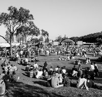 Yours and Owls Festival - Accommodation Whitsundays