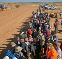28th Marree Australasian CAMEL CUP 3 July 2021 - Accommodation Whitsundays