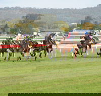 Aggies Race Day - Accommodation Whitsundays