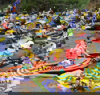 Australia Day Celebrations Gunnedah - Accommodation Whitsundays