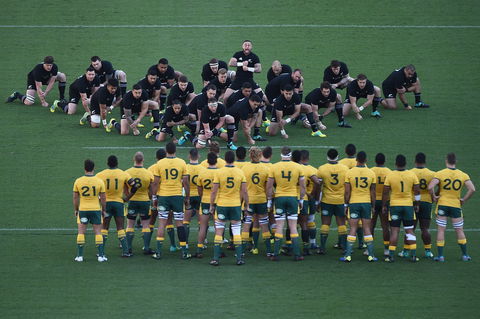 Bledisloe Cup: Qantas Wallabies Versus All Blacks - Accommodation Whitsundays 0